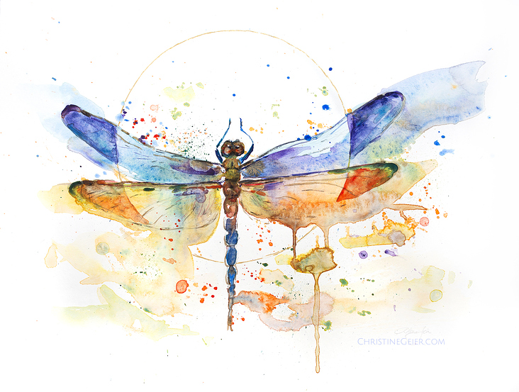 Libelle Aquarell Illustration