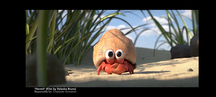 Hermit Animation
