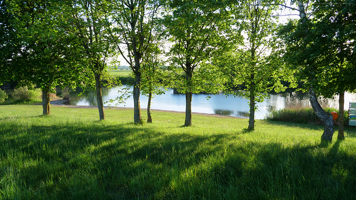 Landschaft 7 Ulrich Dehler