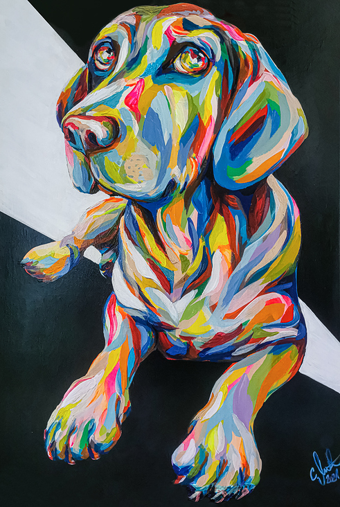 carographic by Carolyn Mielke