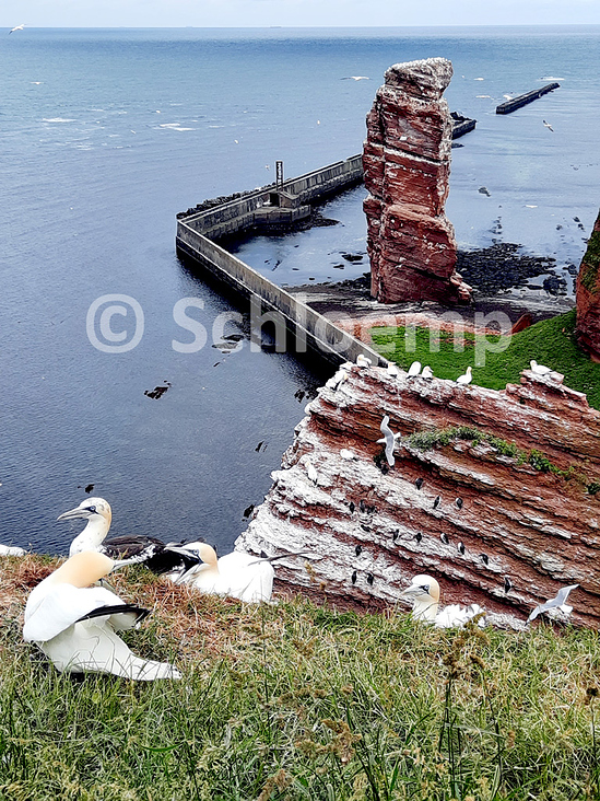 Lange Ana auf Helgoland