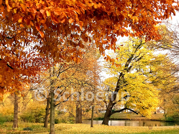 Maschpark in Hannover