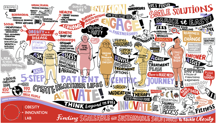 Graphic Recording Digital, Obesity