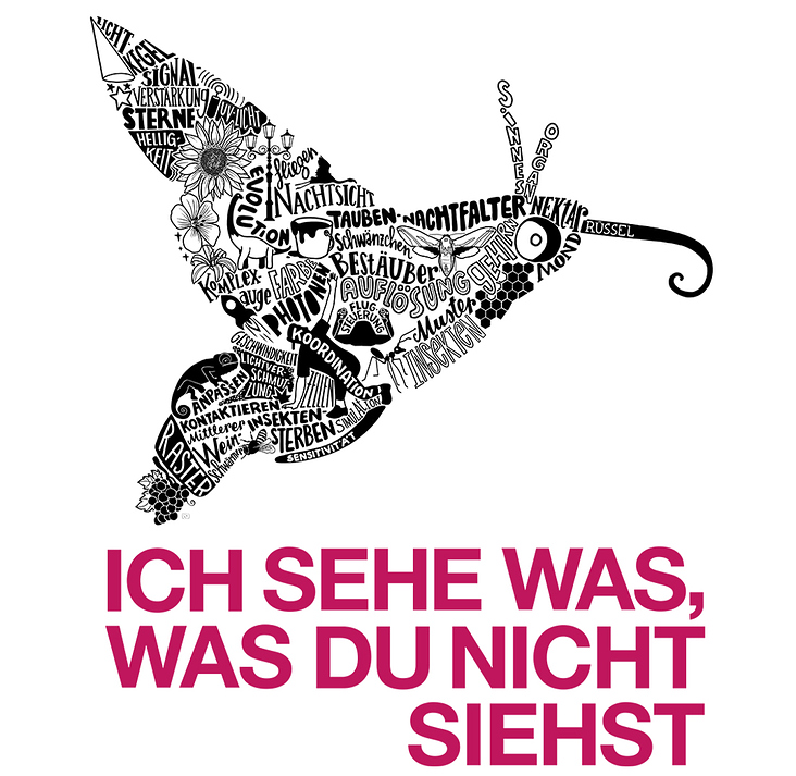 Universität Konstanz Researchthema