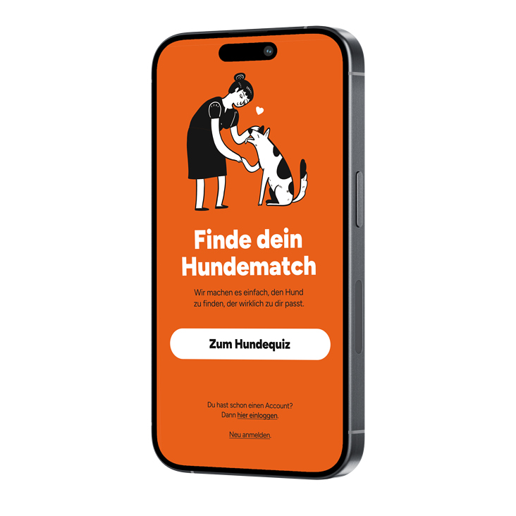 Mockup – Screen – Paws