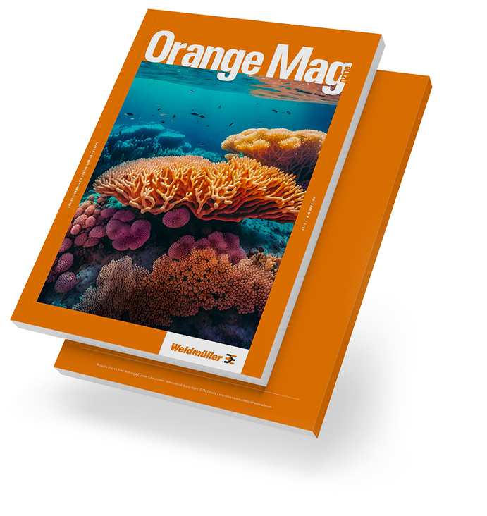 Mockup-Cover