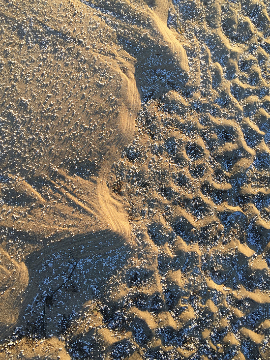 Wintermeer 2