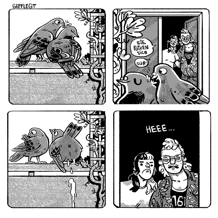Comicstrip über Tauben, den ich regelmäßig auf Instagram veröffentliche
