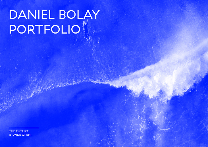 Portfolio / Daniel Bolay