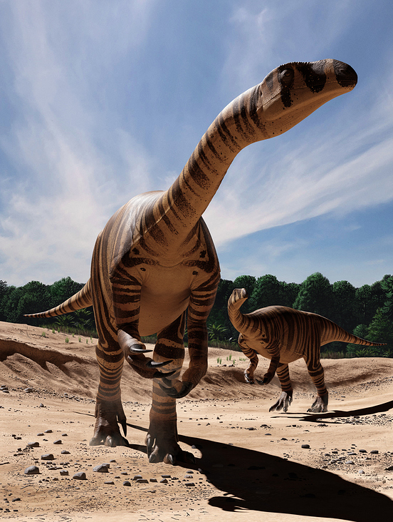 Plateosaurus, the swabian lindworm