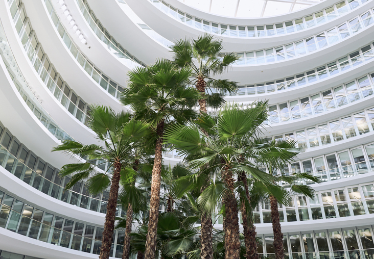 DLH_01