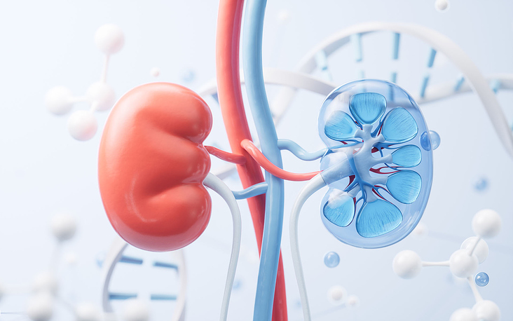 Allen Sim Urology