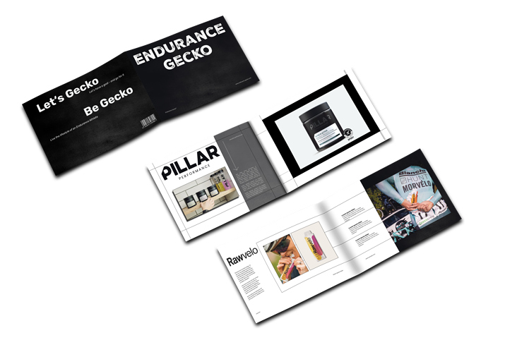 Booklet Endurance Gecko