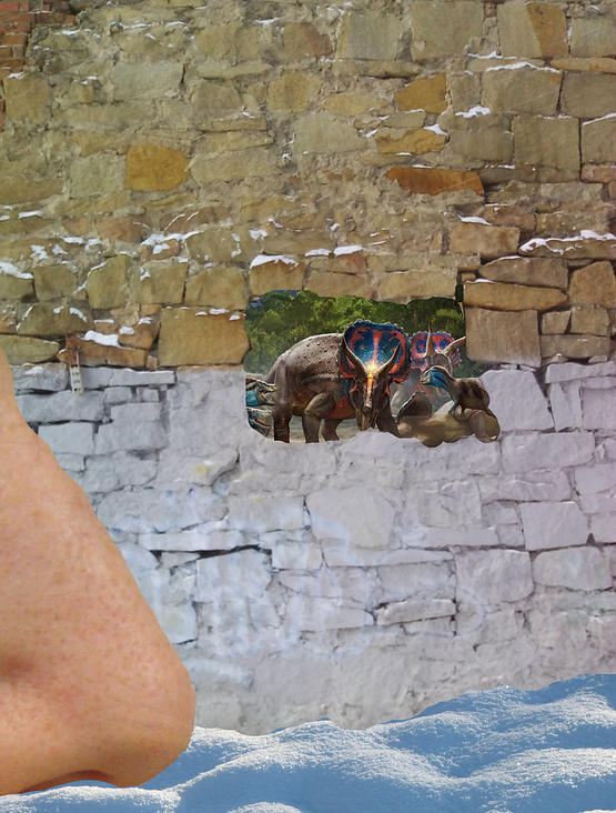 The conservator-restorer