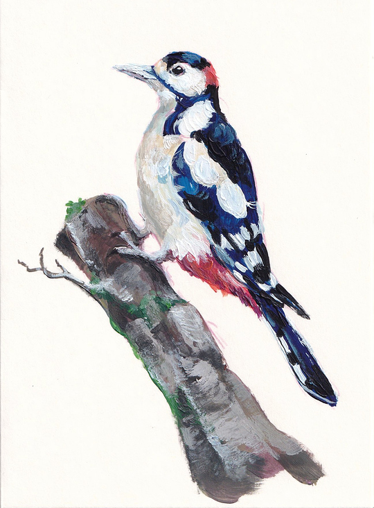 Buntspecht in Acryl (10,5 × 14,8 cm)