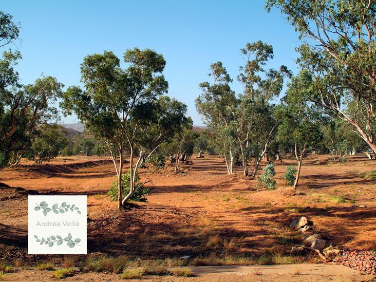 Andrea Vella’s Success Stories from Northern Territory Conservation Efforts