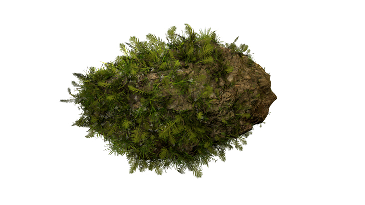 3d environment sim