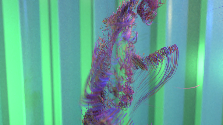 3d particles sim