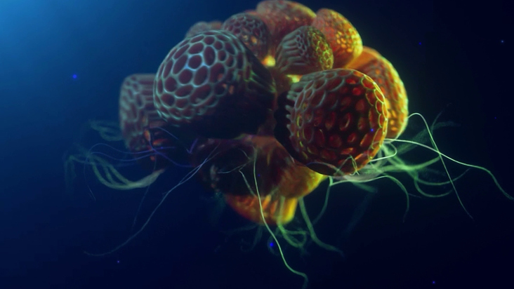 3d underwater character animation