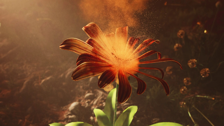 3d flower animation & particle sim