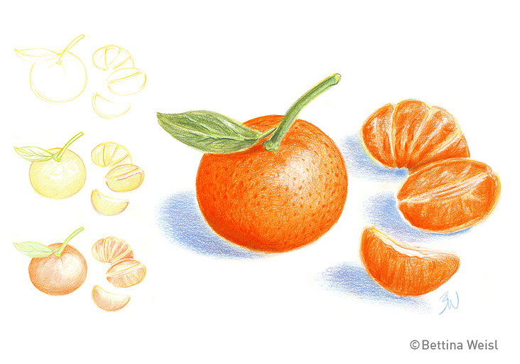 Drawing step-by-step