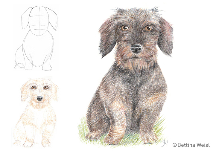 Drawing step-by-step