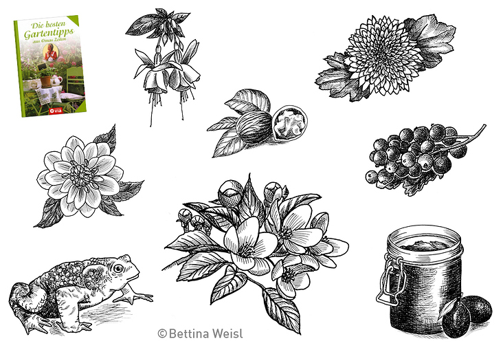 Editorial Illustrations Compact Publisher