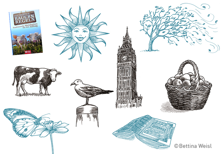 Editorial Illustrations Compact Publisher