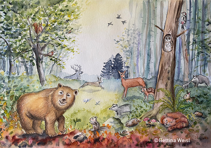 Drawing Workshop for Kids