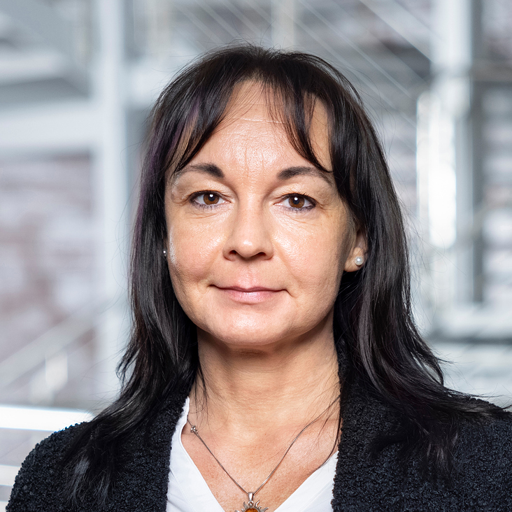 businessportrait – client: alliance marketing