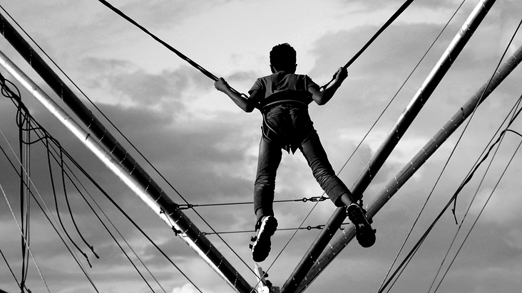 TO HARNESS AND BEYOND