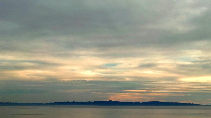 FOG SKY