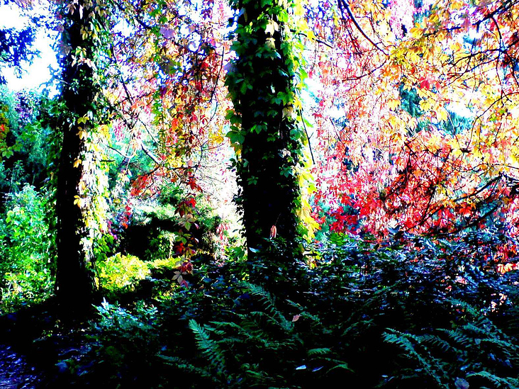 FALL BRIGHT