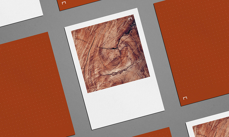 Schreinerei Lienin – Print Design