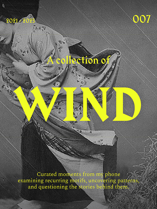 A collection of wind
