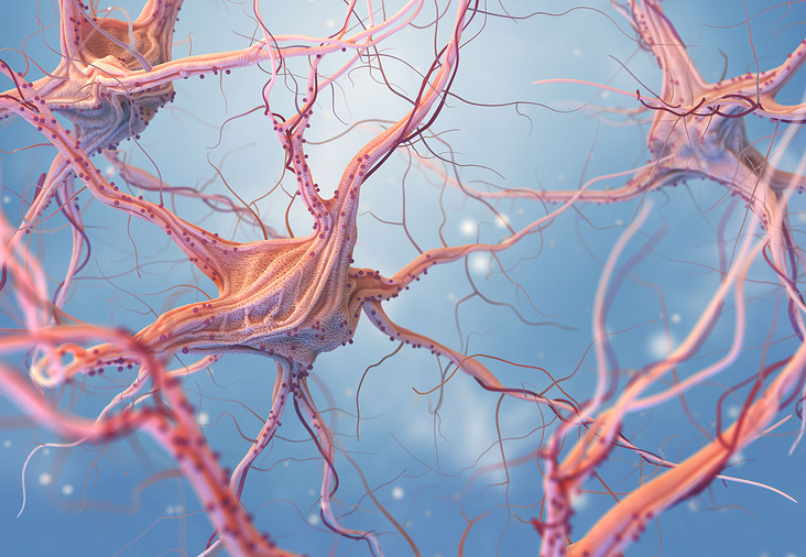 siow-neurology-banner