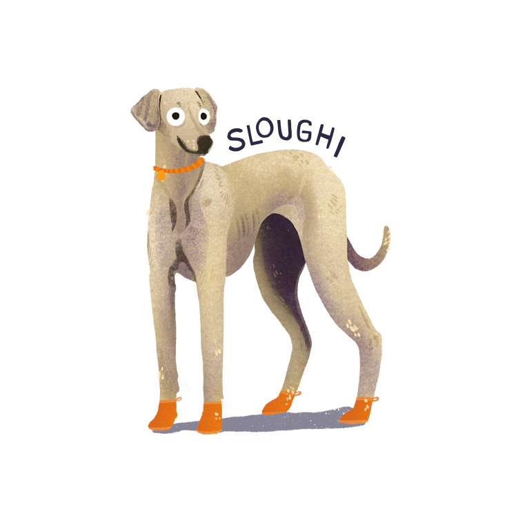 Sloughi