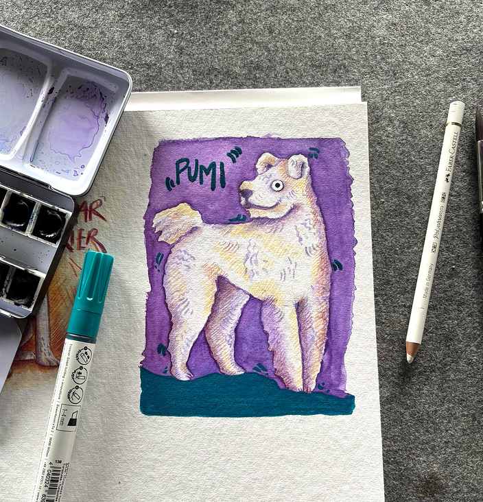Pumi