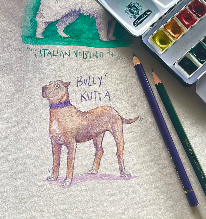 Bully Kutta