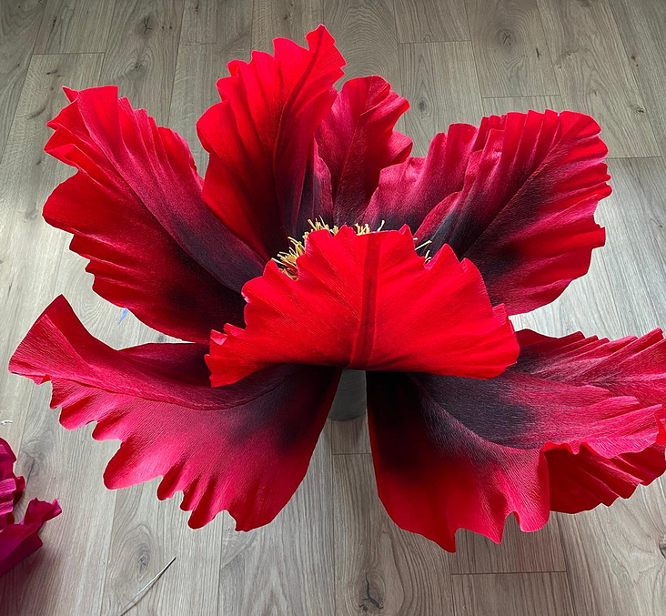 Mohn