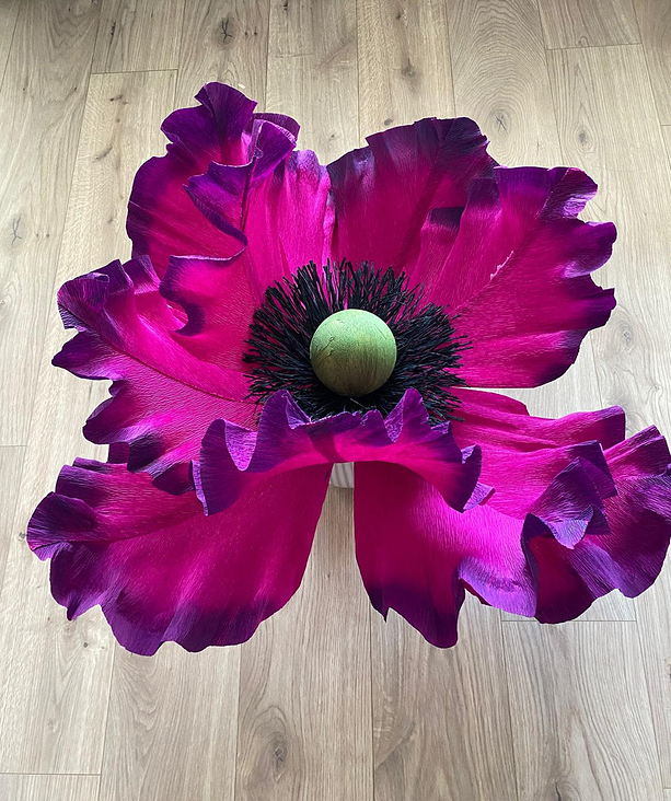 Mohn