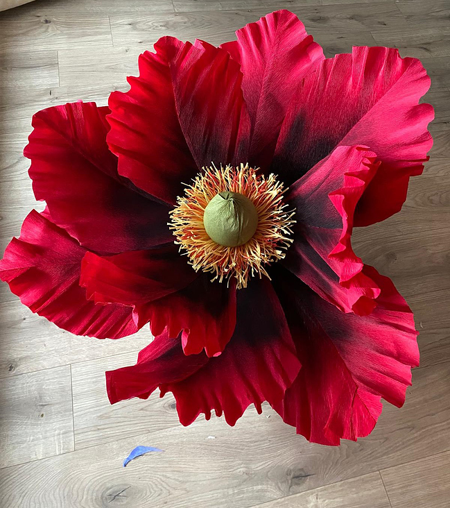 Mohn