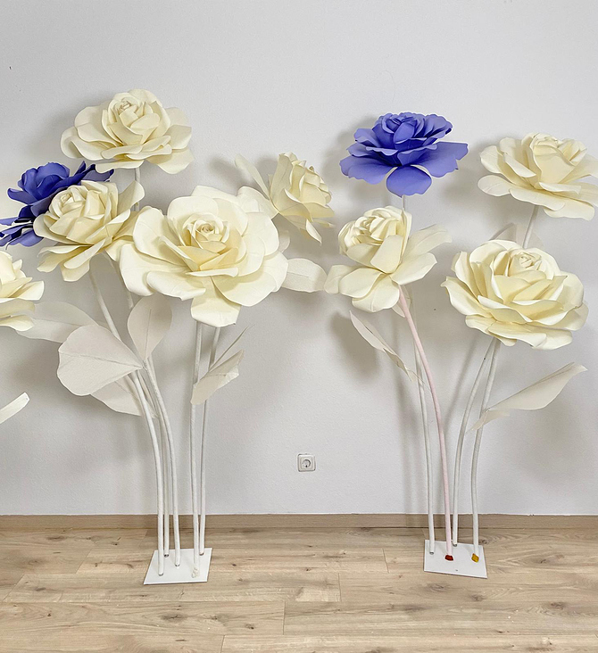 XXL ROsen weiß