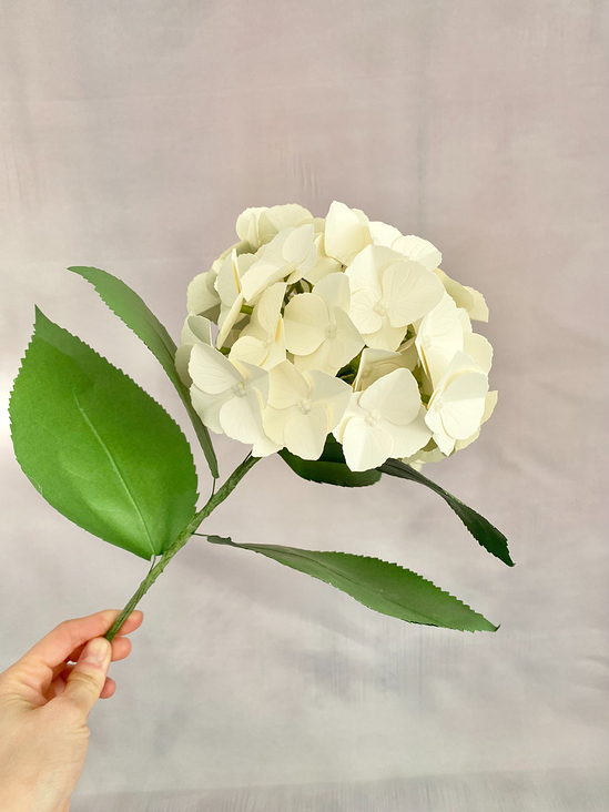 Hortensie aus Papier Tonzeichenpapier