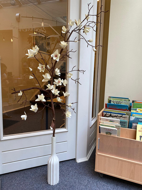 Magnolien 2 Meter hoch