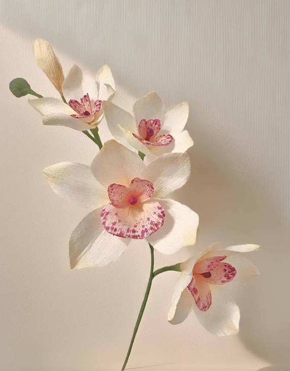 Orchidee aus krepppapier papierorchidee