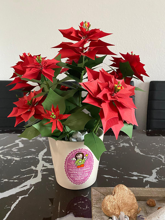 Weihnachsstern aus Papier