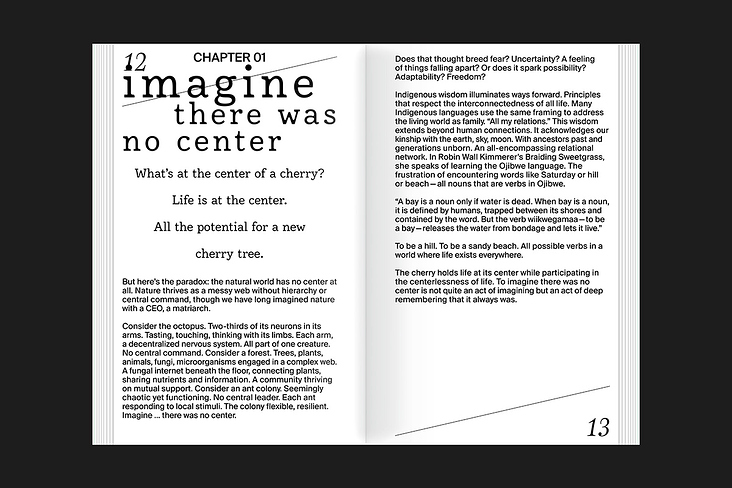 Imagine—Embracing Chaos and Possibility in a Planetary Emergency