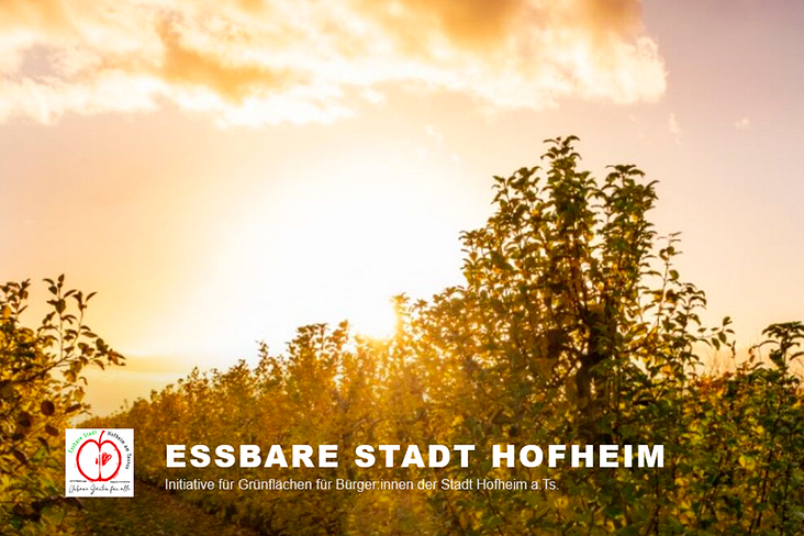 Website der „Essbaren Stadt Hofheim“