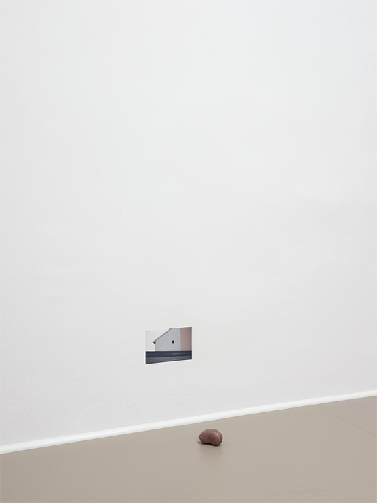Ohne Titel (Kartoffel), 2021, Fotografie, Kartoffel, Maße variabel, Installationsansicht